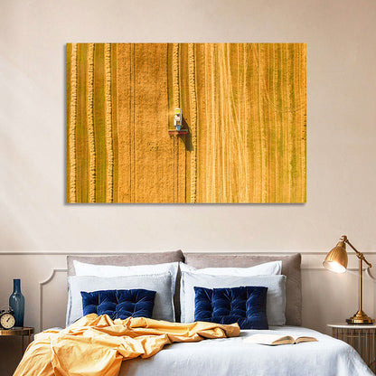 Aerial Wheat Harvest Wall Art