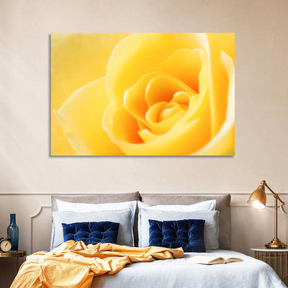 Soft-lit Yellow Rose Close-up Wall Art