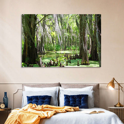 Louisiana Cypress Swamp Wall Art