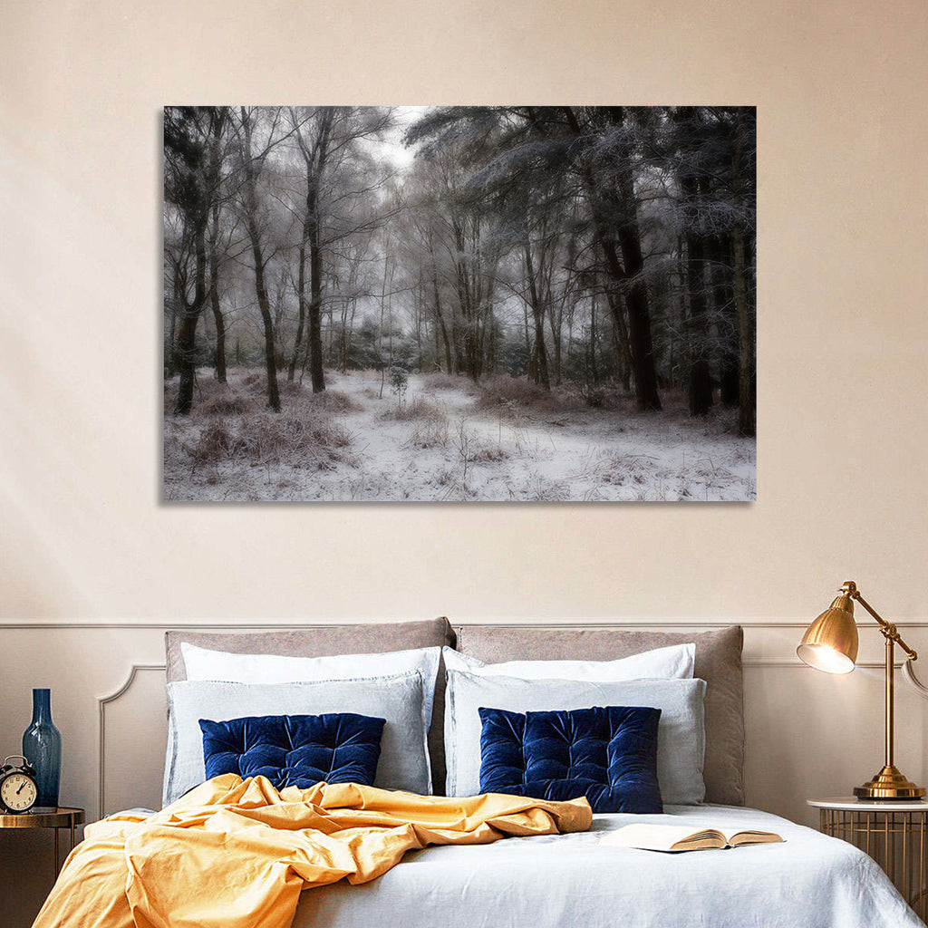 New Forest Winter Path Wall Art