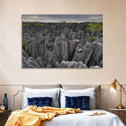Tsingy De Bemaraha Pinnacles Wall Art