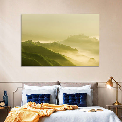 Tea Plantation Morning Mist Wall Art
