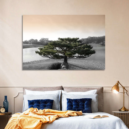 Bonsai Pine in Japanese Garden Wall Art