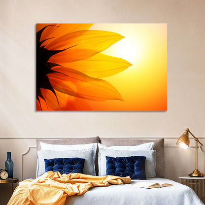 Backlit Sunflower Petals Wall Art