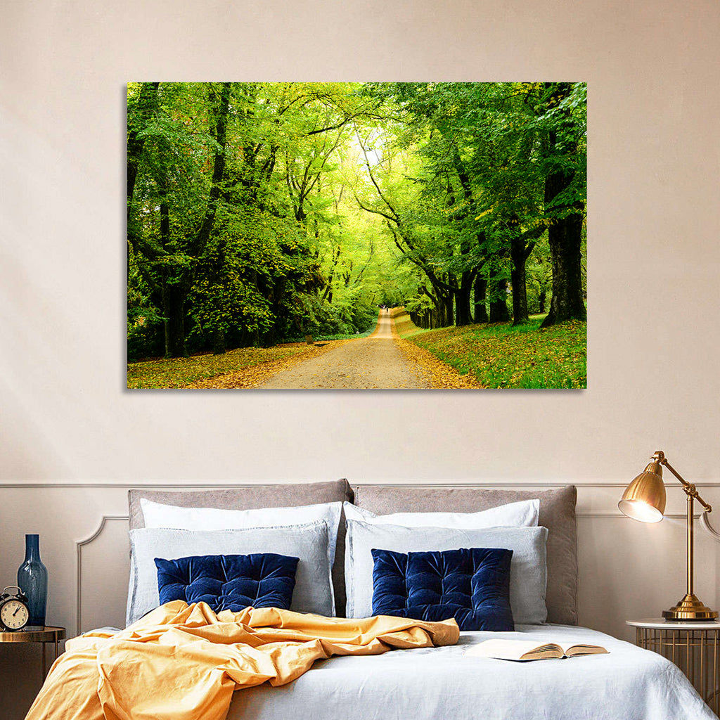 Sunlit Forest Pathway Wall Art