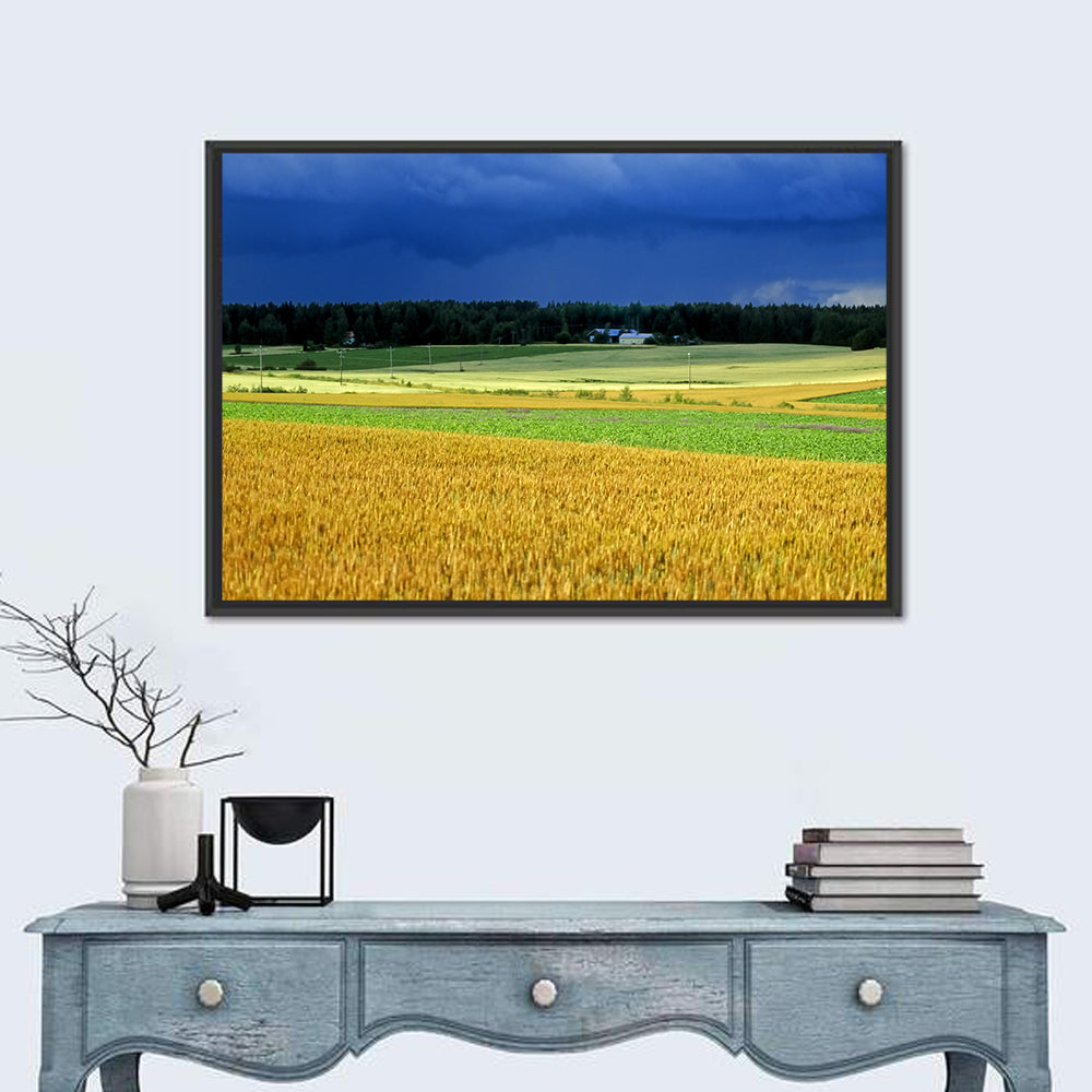Cornfields Under Stormy Sky Wall Art