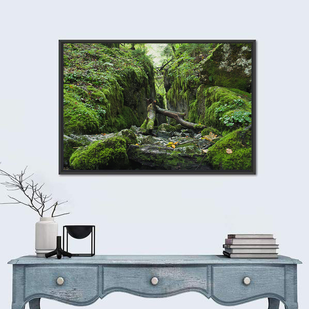 Kammersee Mossy Cleft Wall Art in a room, landscape