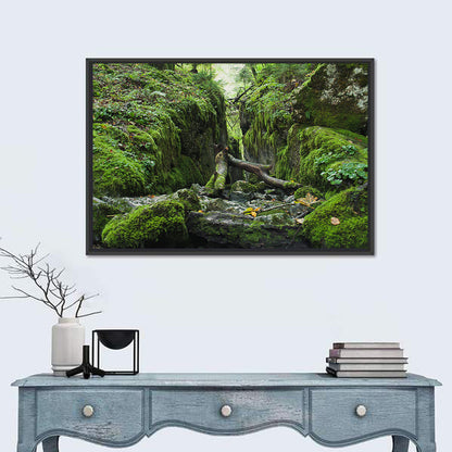 Kammersee Mossy Cleft Wall Art