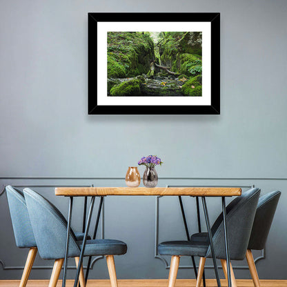 Kammersee Mossy Cleft Wall Art