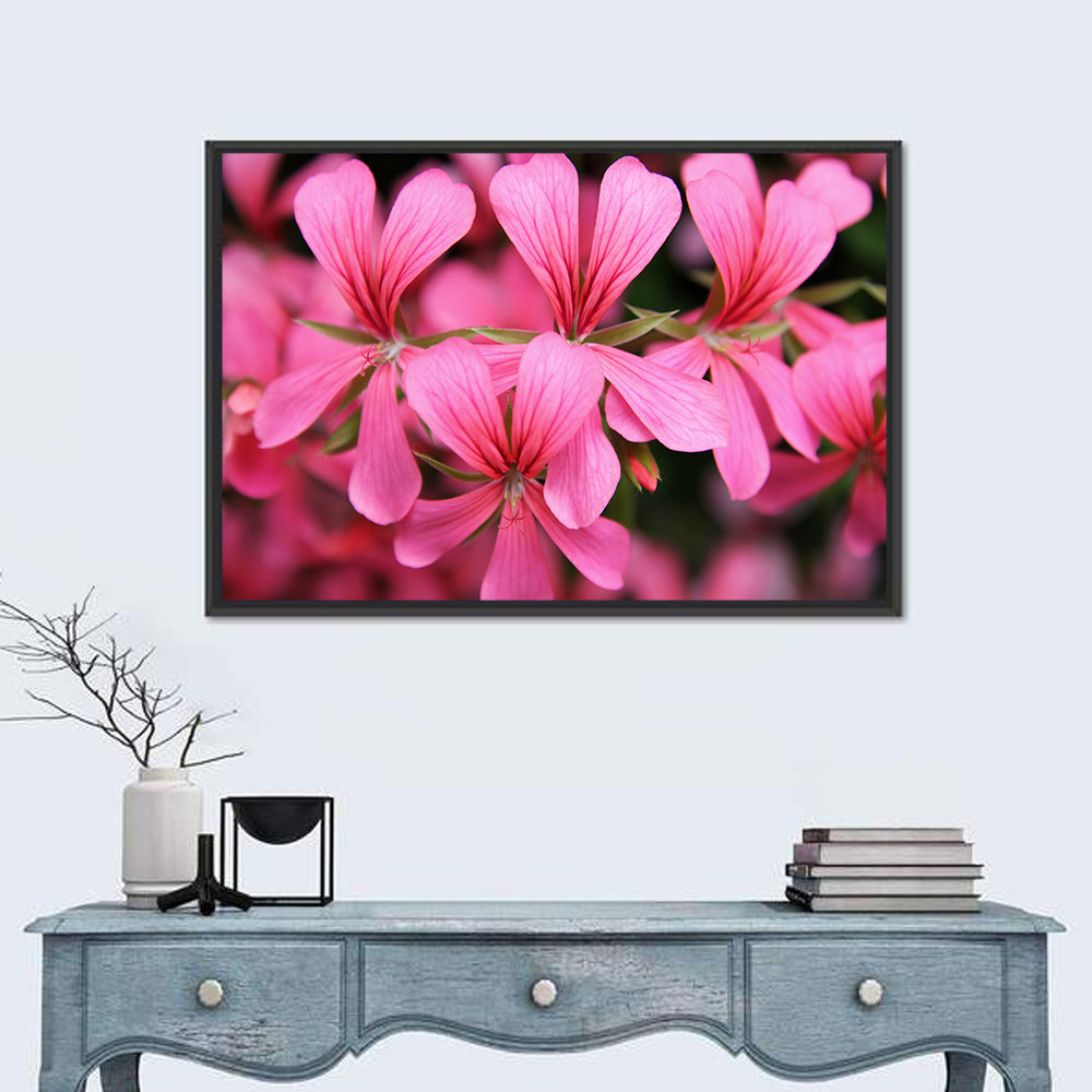 Pink Geranium Close Up Wall Art