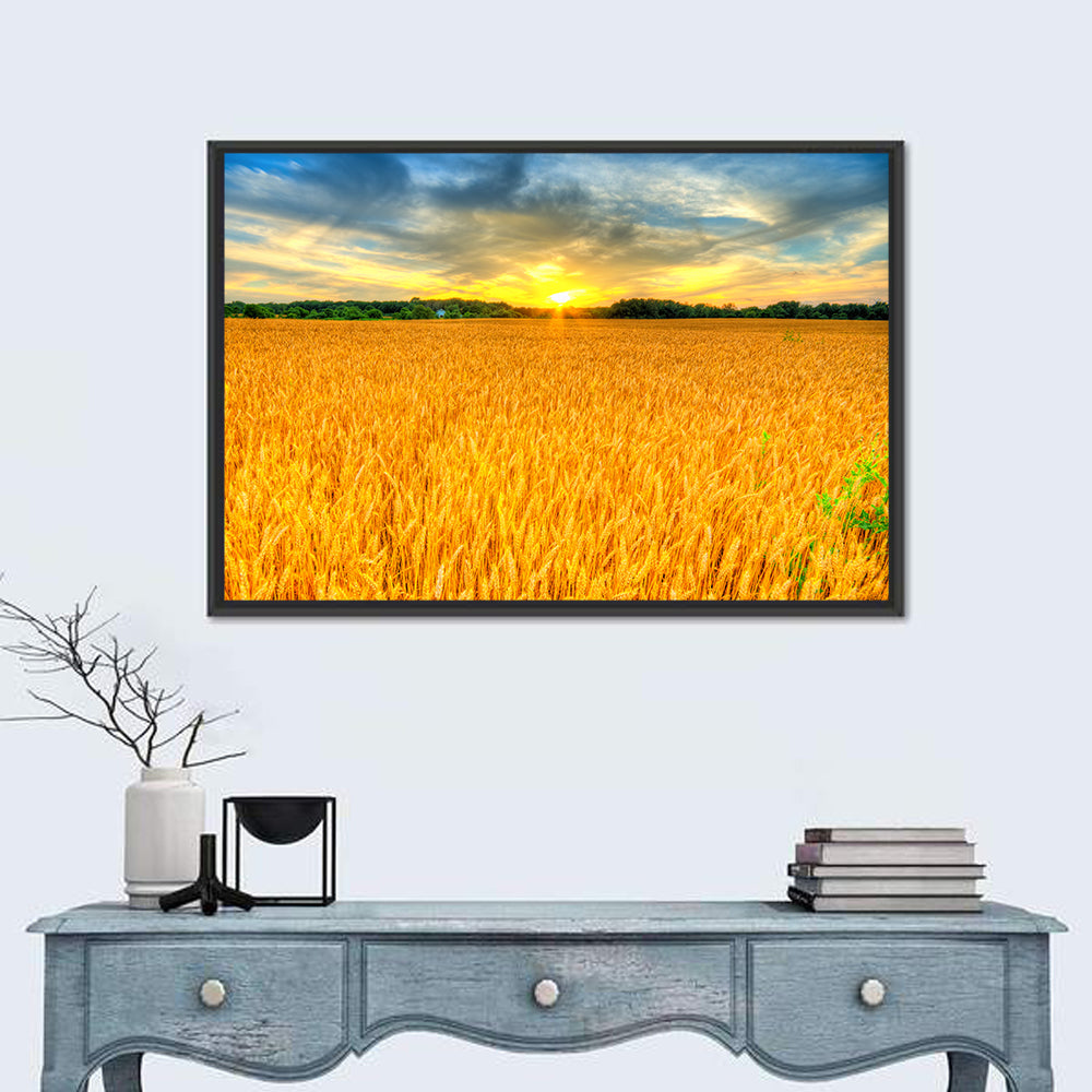 Wheat Field Sunset Wall Art in a room, landscape