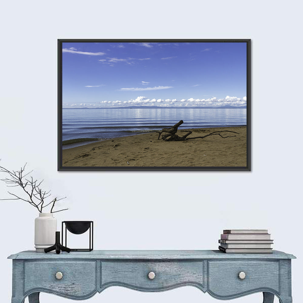 Shallow Lake Khanka Wall Art in a room, landscape