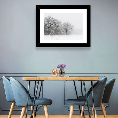 Snow-covered Trees in Fog Wall Art