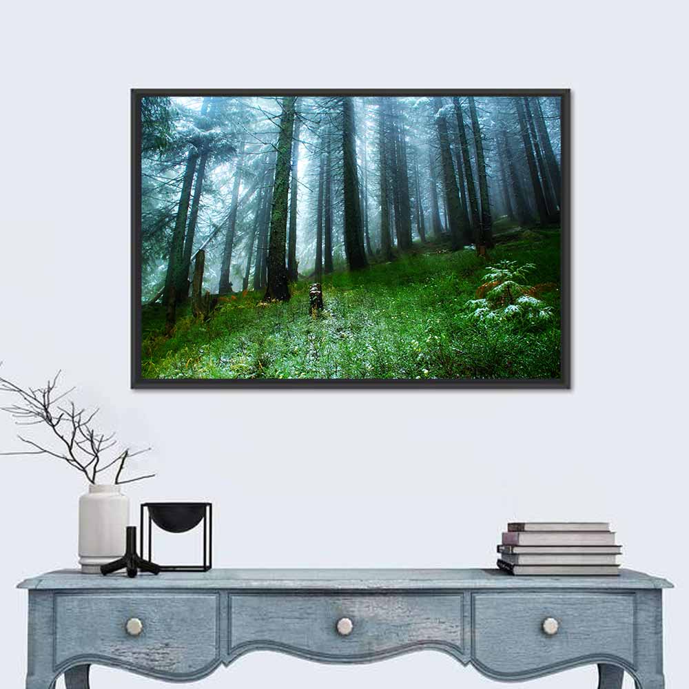 Misty Green Pine Forest Wall Art in a room, landscape