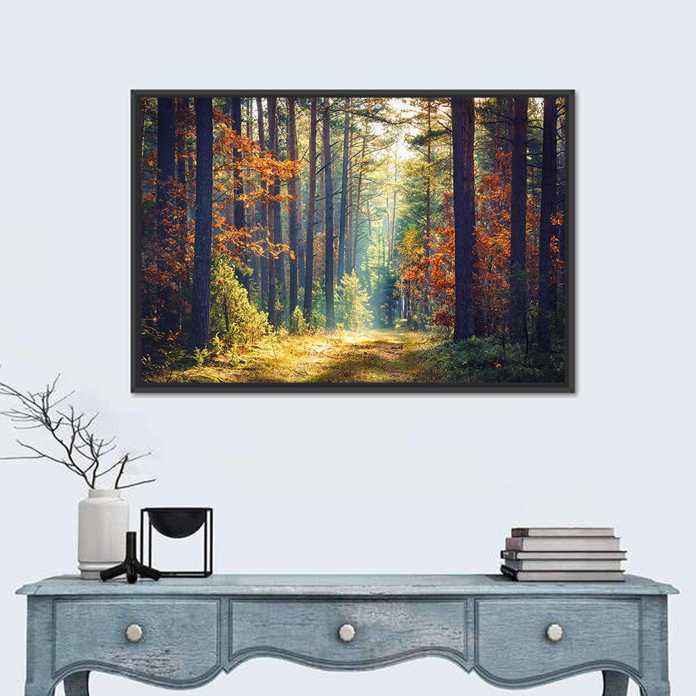 Sunlit Autumn Pine Forest Wall Art