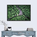 Aerial Forest Road Wall Art