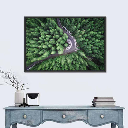 Aerial Forest Road Wall Art