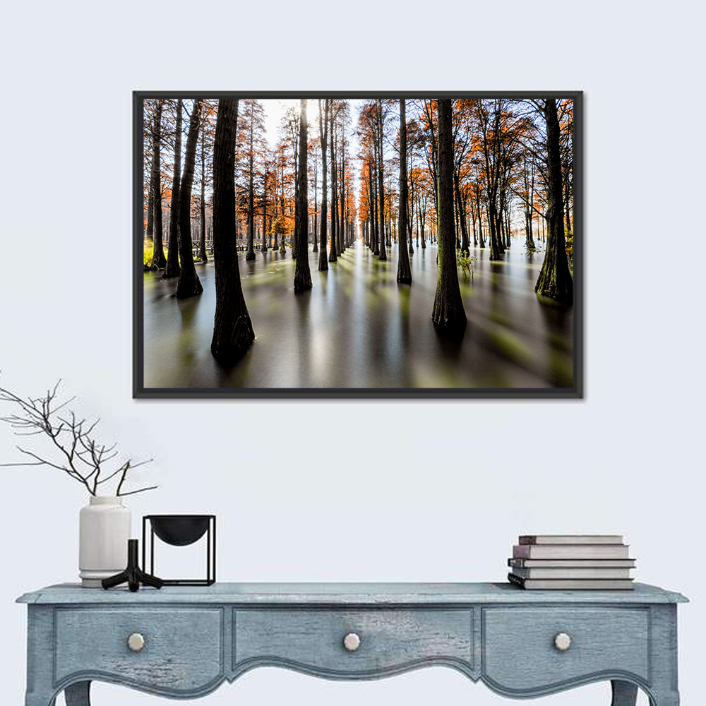 Autumn Flooded Cypress Forest Wall Art