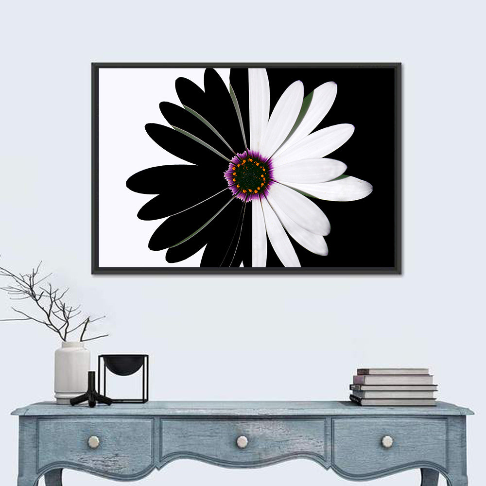 Black and White Daisy with Purple Ring Wall Art