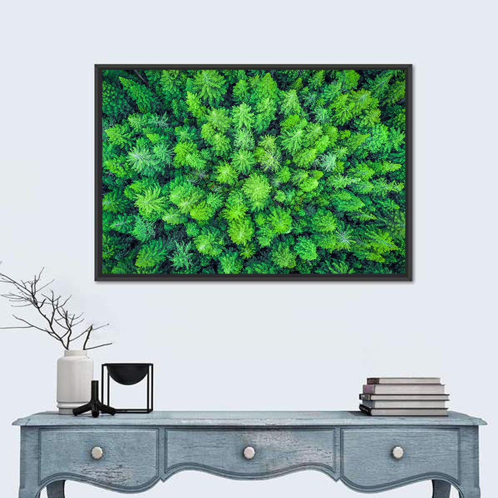 Whakarewarewa Forest Canopy Wall Art