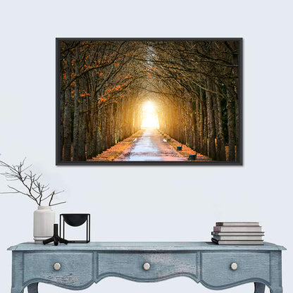 Autumn Oak Tunnel Wall Art