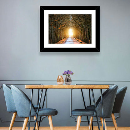 Autumn Oak Tunnel Wall Art