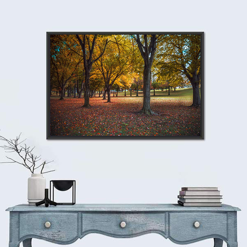 Autumn Park Trees, Pennsylvania Wall Art in a room, landscape