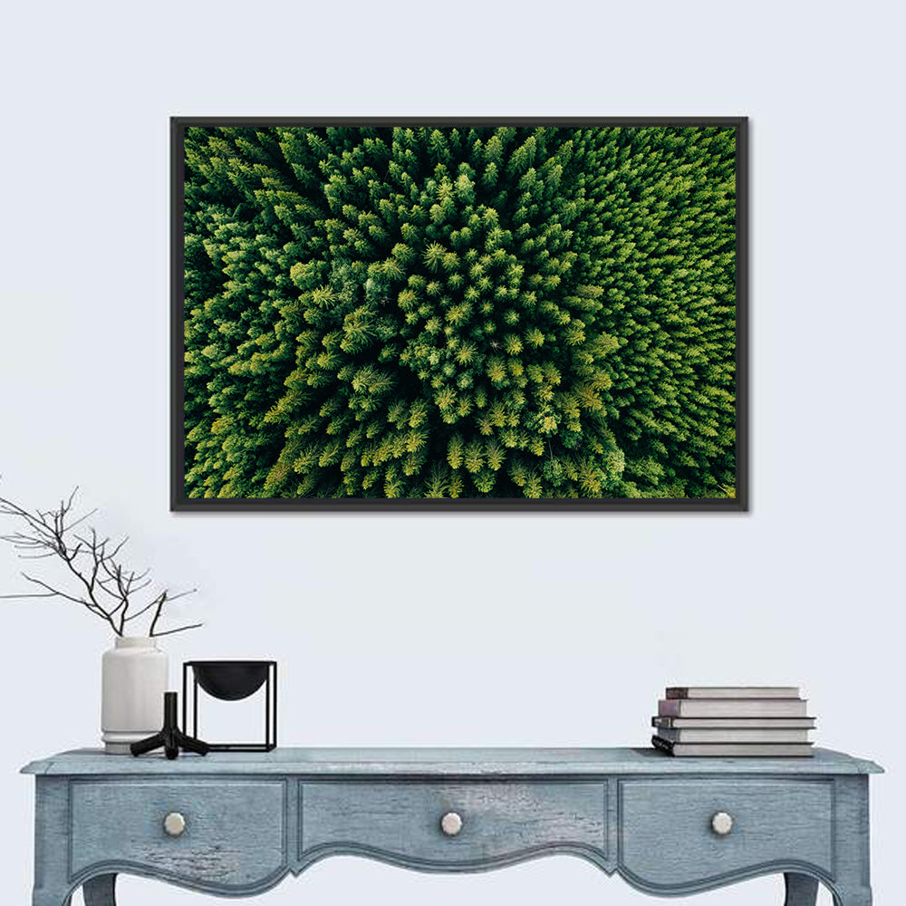 Aerial Conifer Canopy Wall Art