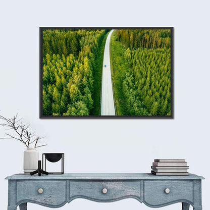 Blue Car on Forest Road Wall Art