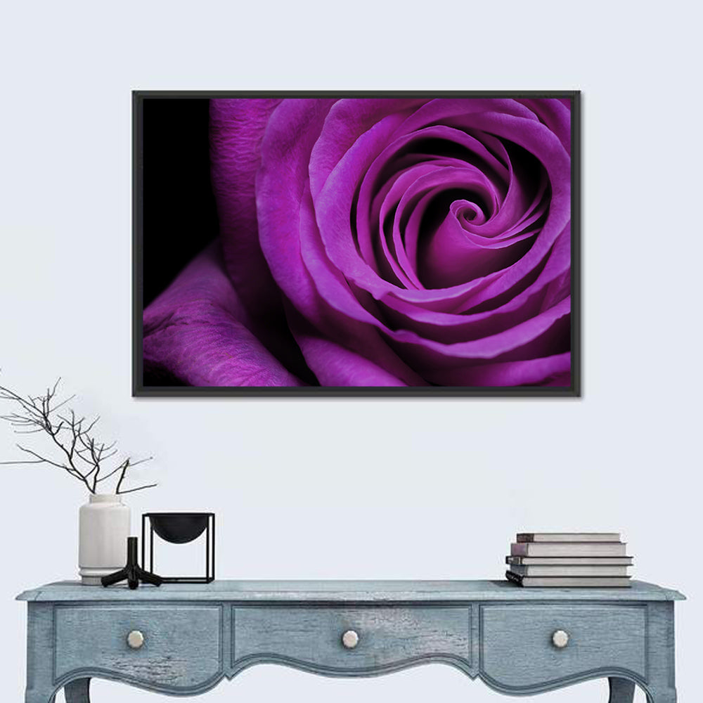 Purple Rose Close-up Wall Art