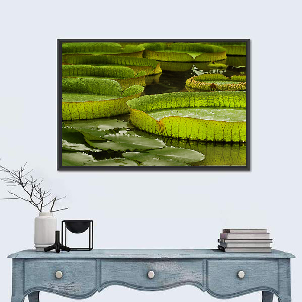 Giant Victoria Amazonica Lily Pads Wall Art in a room, landscape