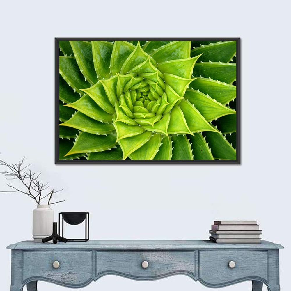 Spiral Aloe Succulent Wall Art