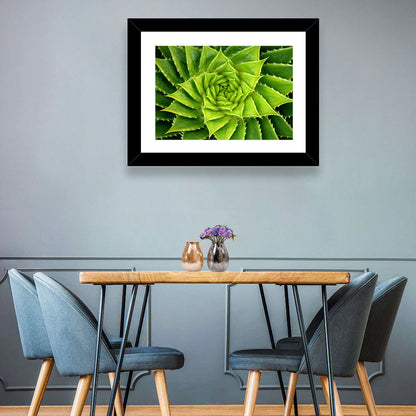 Spiral Aloe Succulent Wall Art