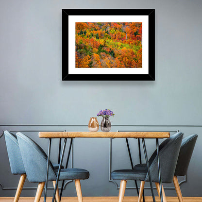 Vermont Autumn Mountain Forest Wall Art