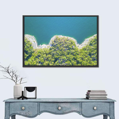 Lake Travis Shoreline Aerial Wall Art