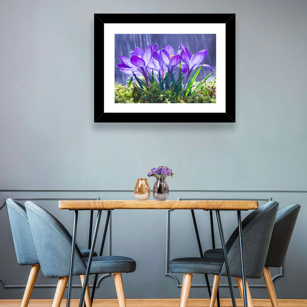 Rainy Purple Crocuses Wall Art
