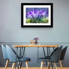 Rainy Purple Crocuses Wall Art