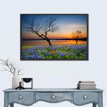 Texas Bluebonnet Sunset Wall Art