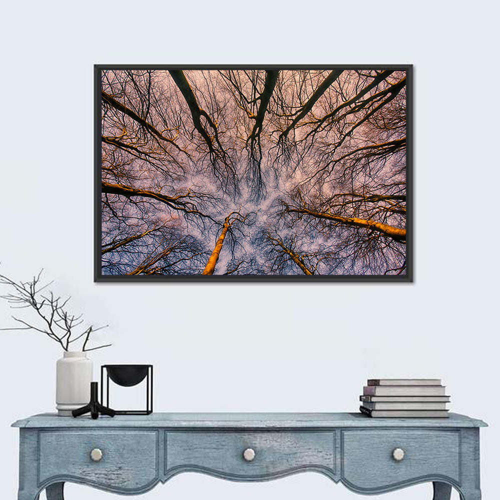Misty Forest Canopy Wall Art in a room, landscape