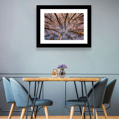 Misty Forest Canopy Wall Art