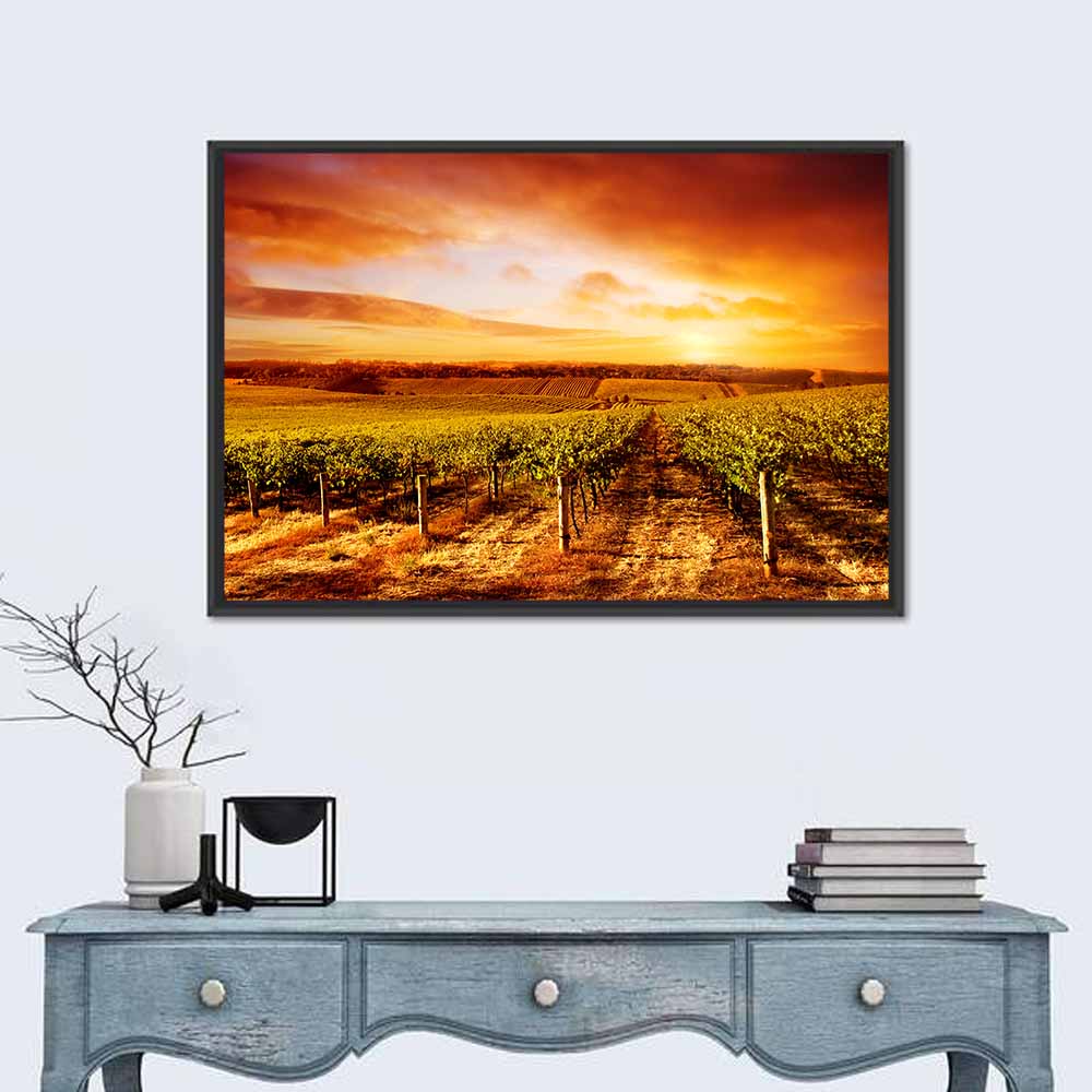 Australian Vineyard Sunset Wall Art