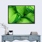 Dewy Hosta Leaves Wall Art