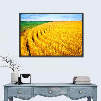 Summer Wheat Field with Curved Paths Wall Art