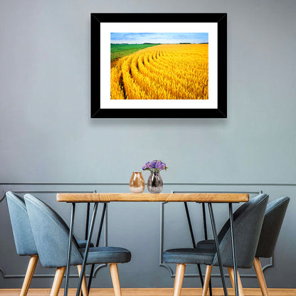 Summer Wheat Field with Curved Paths Wall Art