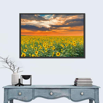 Golden Hour Sunflower Field Wall Art