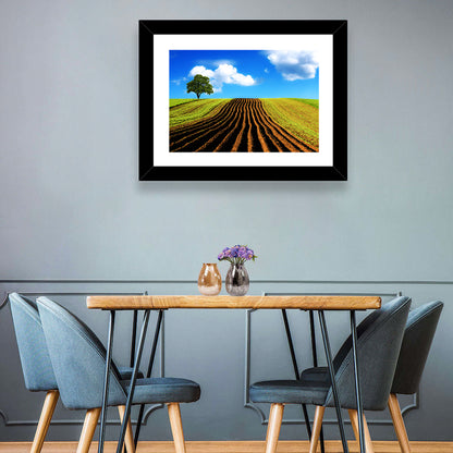 Plowed Field with Lone Tree Wall Art