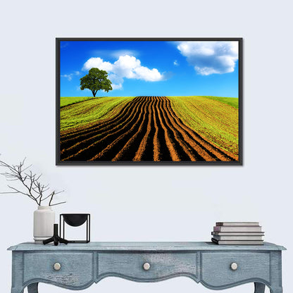 Plowed Field with Lone Tree Wall Art