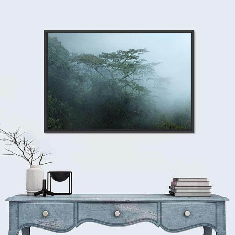 Misty Rainforest Canopy Wall Art