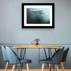 Misty Rainforest Canopy Wall Art
