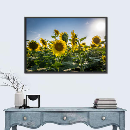 Backlit Sunflower Field Wall Art